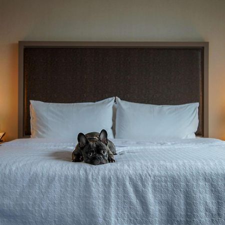 Homewood Suites By Hilton Chicago West Loop Fulton Mkt Area Ngoại thất bức ảnh