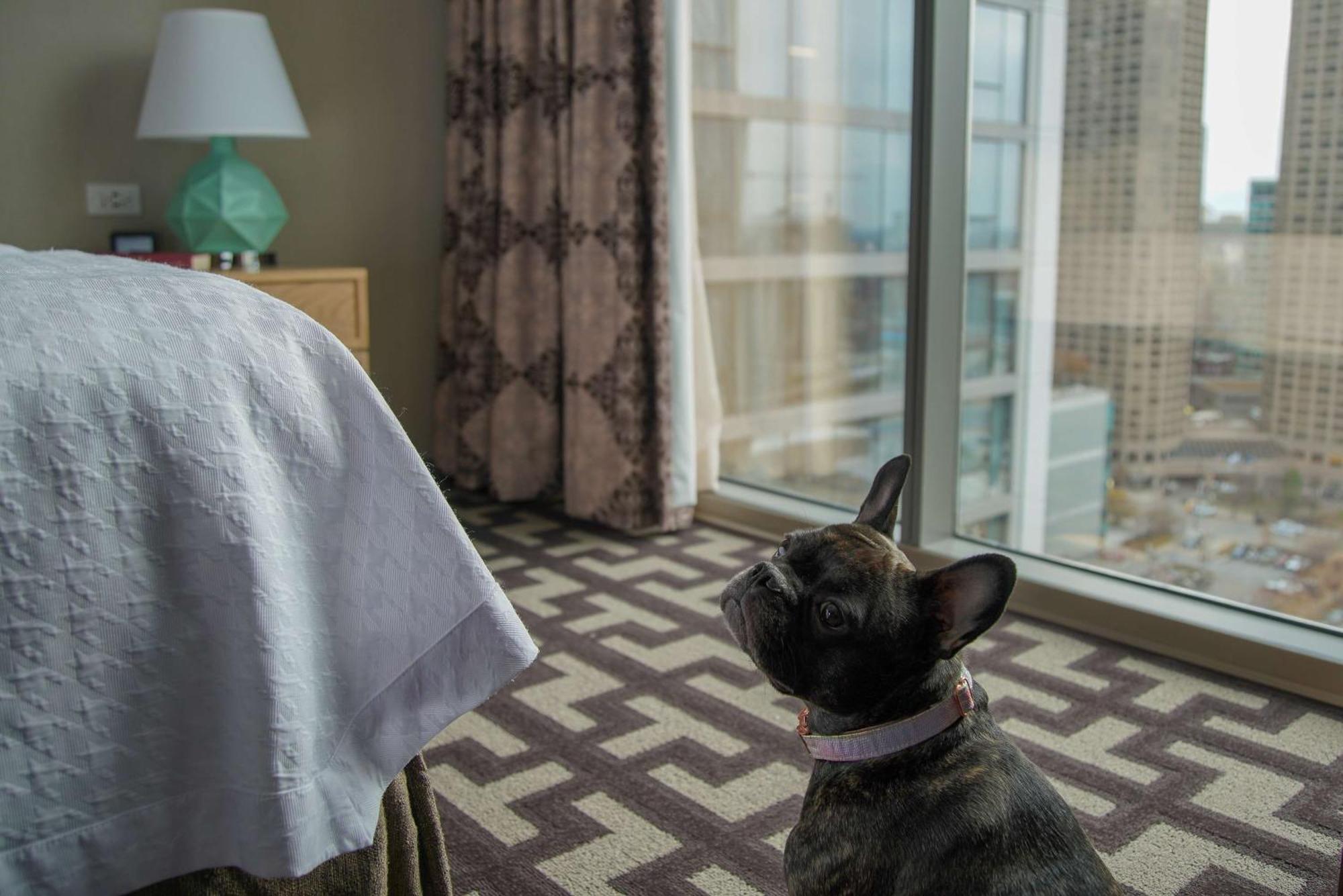 Homewood Suites By Hilton Chicago West Loop Fulton Mkt Area Ngoại thất bức ảnh