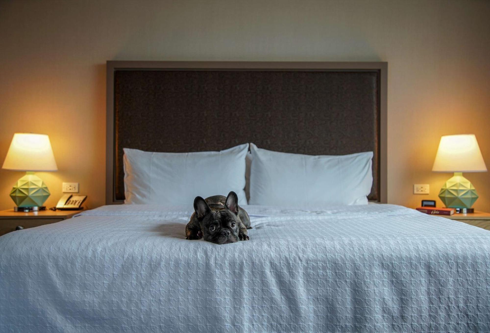 Homewood Suites By Hilton Chicago West Loop Fulton Mkt Area Ngoại thất bức ảnh