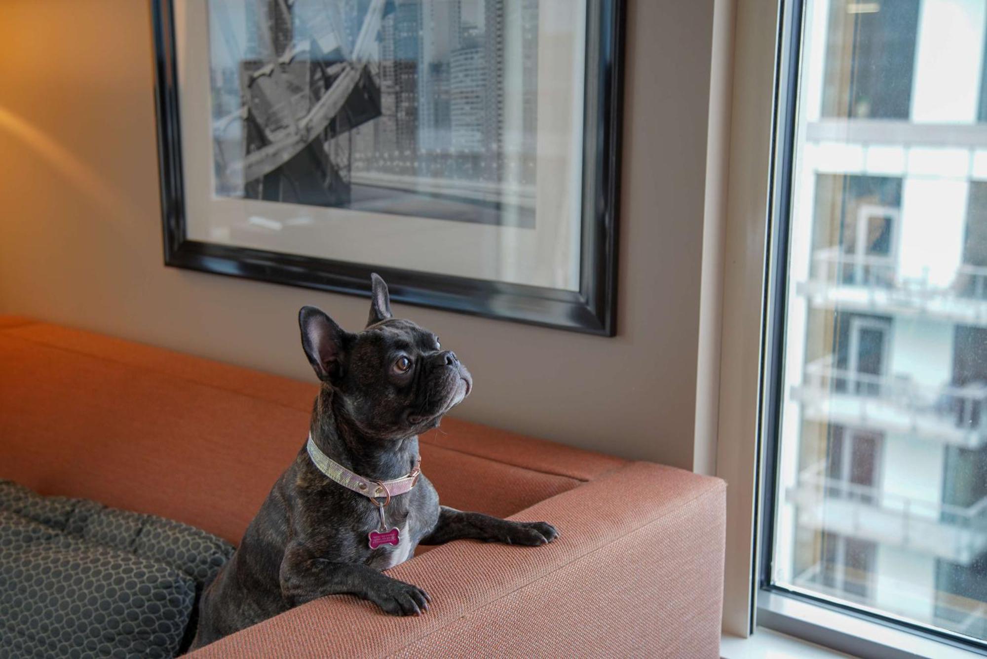 Homewood Suites By Hilton Chicago West Loop Fulton Mkt Area Ngoại thất bức ảnh